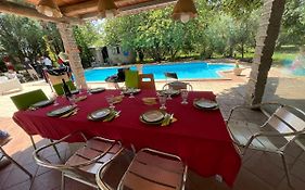 Loft Mansardato Con Giardino E Piscina In Villa Privata Loft With Garden And Swimming Pool In A Private Villa