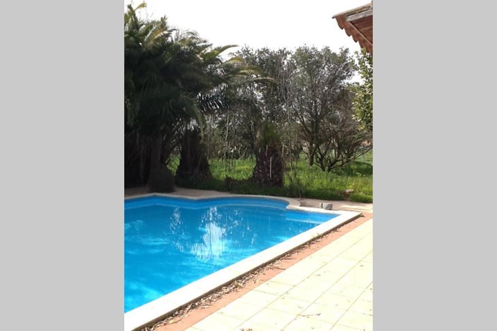 Loft Mansardato Con Giardino E Piscina In Villa Privata Loft With Garden And Swimming Pool In A Private Villa Sestu Extérieur photo