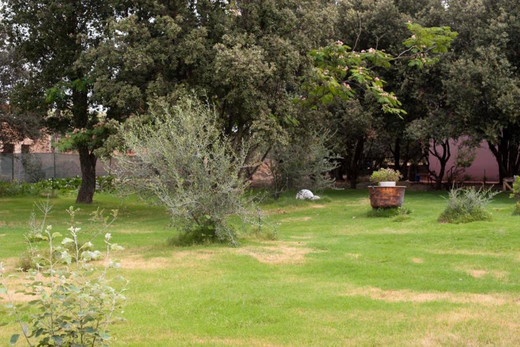 Loft Mansardato Con Giardino E Piscina In Villa Privata Loft With Garden And Swimming Pool In A Private Villa Sestu Extérieur photo