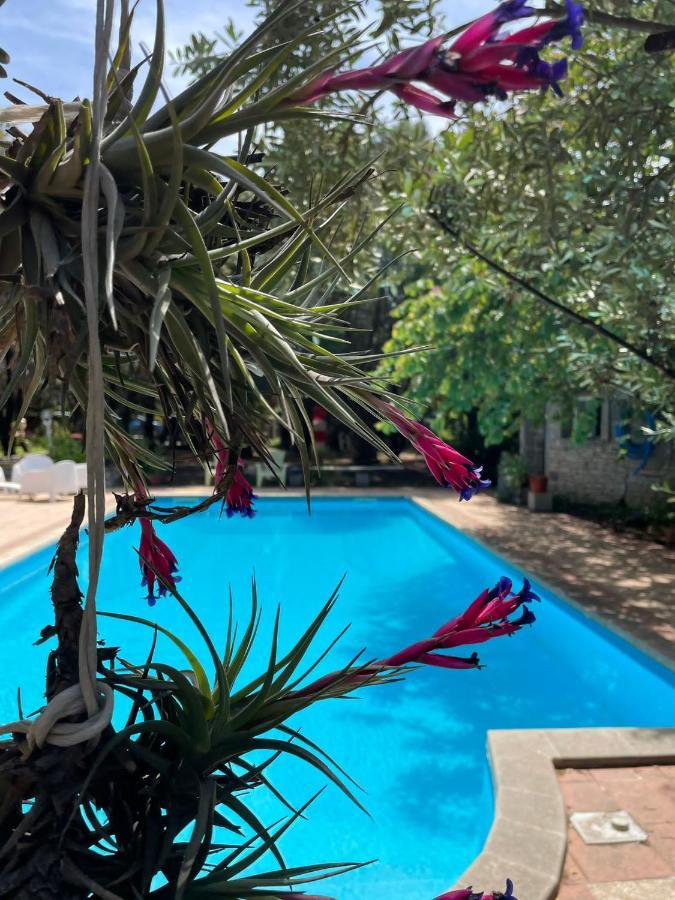 Loft Mansardato Con Giardino E Piscina In Villa Privata Loft With Garden And Swimming Pool In A Private Villa Sestu Extérieur photo