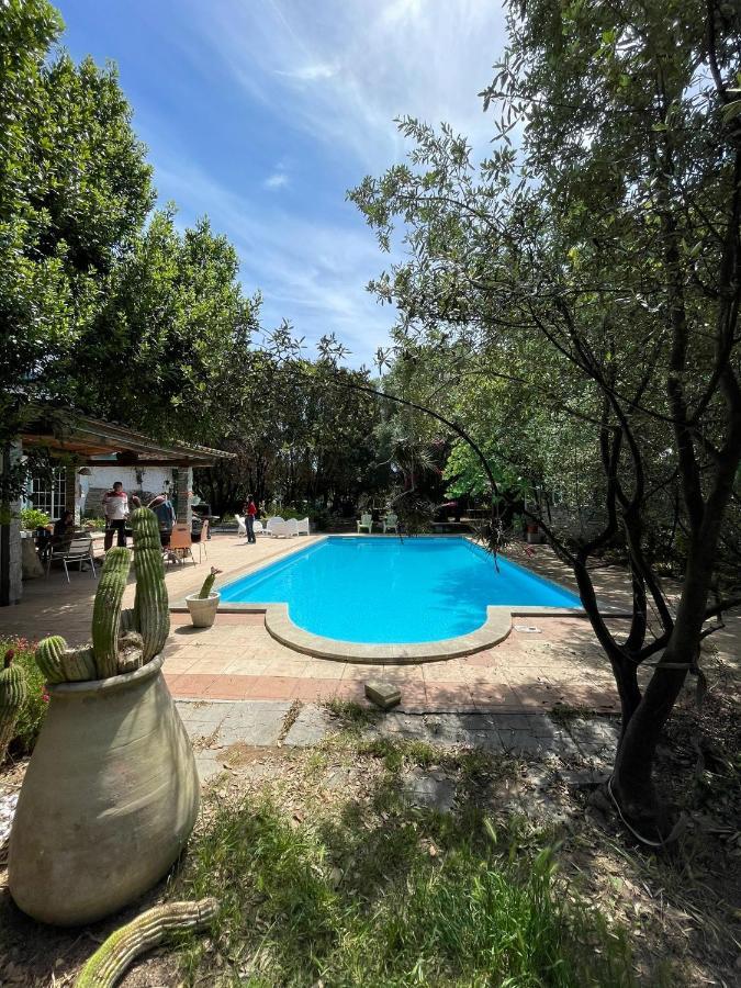 Loft Mansardato Con Giardino E Piscina In Villa Privata Loft With Garden And Swimming Pool In A Private Villa Sestu Extérieur photo